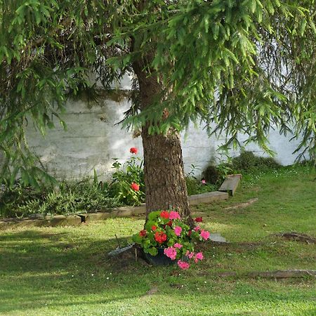 Lugar De Cal Daire Fene Dış mekan fotoğraf