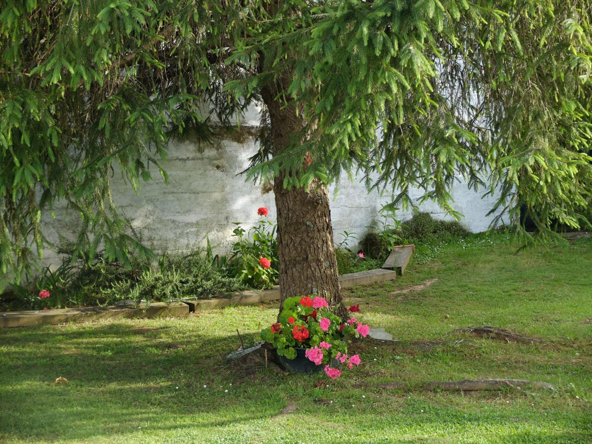 Lugar De Cal Daire Fene Dış mekan fotoğraf